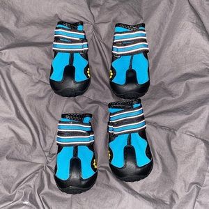 Brand New Dog Shoes
